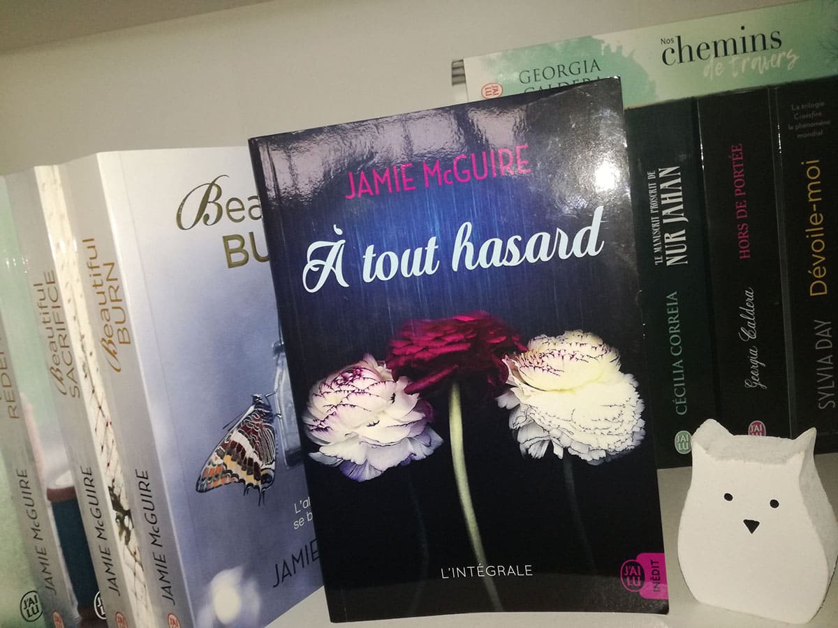 A tout hasard, l’intégrale de Jamie McGuire