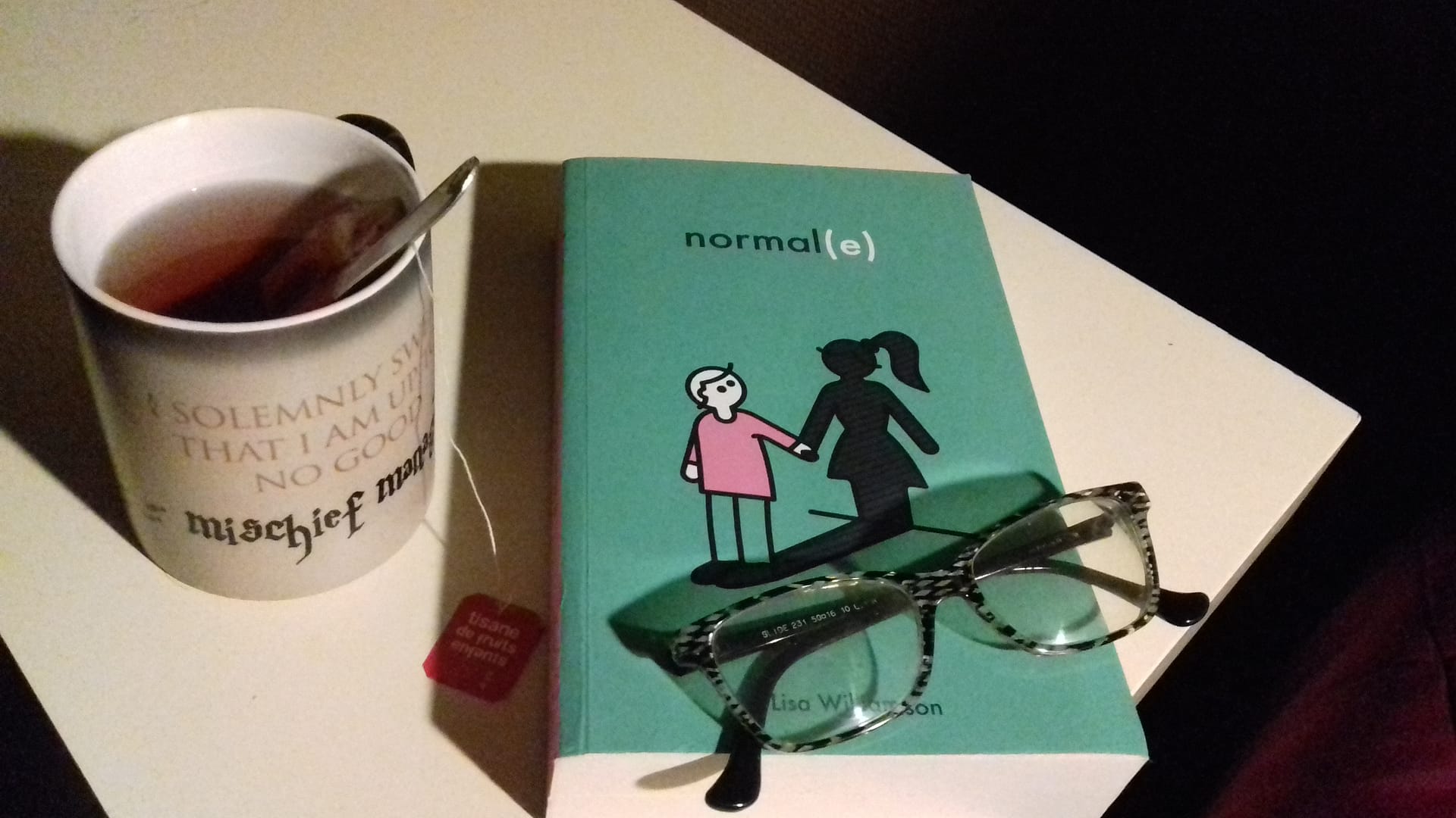 Un roman Young-Adult intense et éprouvant sur le thème de la transsexualité