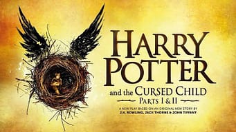 harry potter la pièce