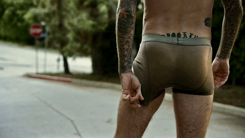 Les fesses de...