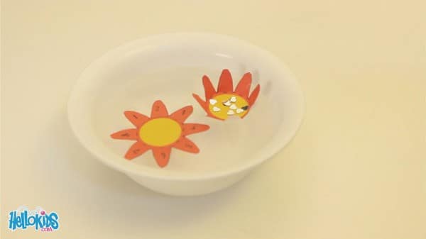 atelier du mercredi 6 fleur magique